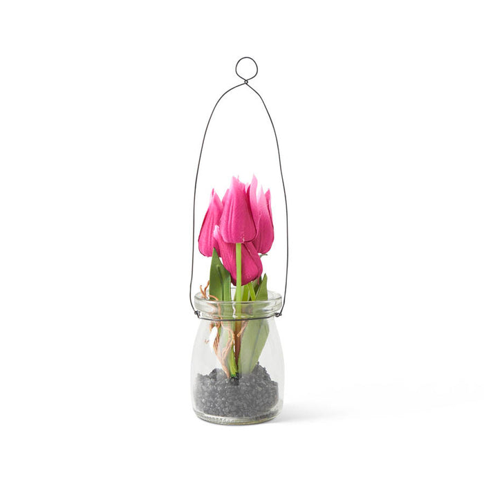 Fuchsia Mini Tulip in Glass Bottle w/Black Stones
