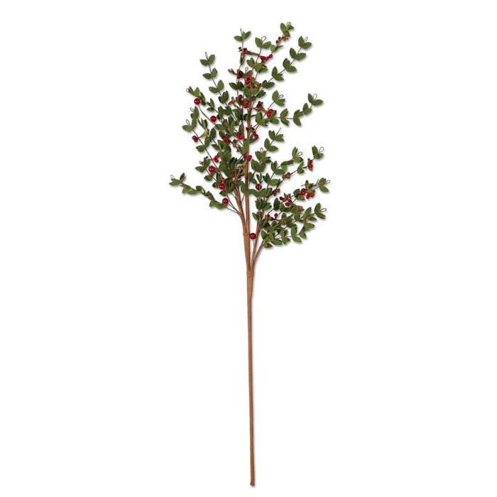 Leafy Stem with Red Berries - 30"L
