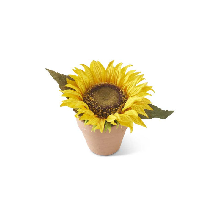 Yellow Potted Sunflower