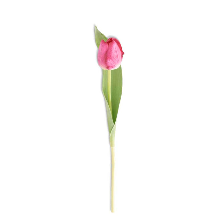Fuchsia Silk w/Real Touch Single Tulip Stem - 14"