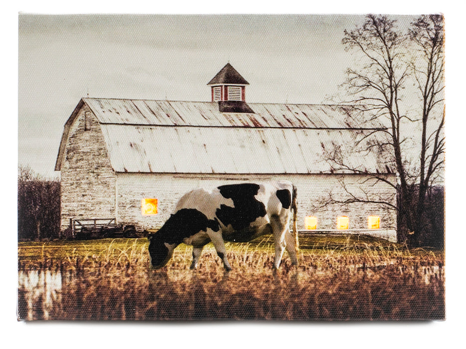 Bessy The Cow & White Barn Lighted Print