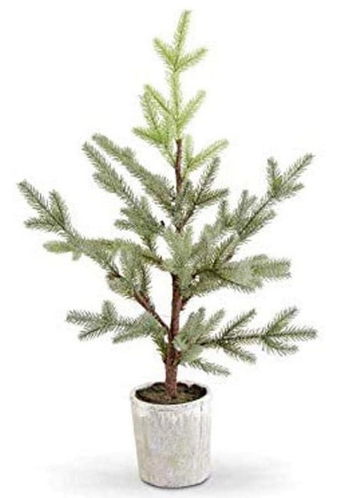 Fir Pine in Gray Pot