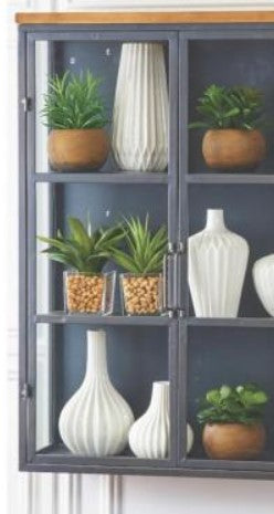 Agave in Square Glass Vases w/Pebbles -3 Options