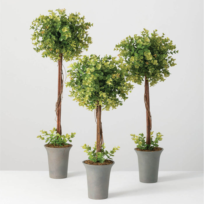 New England Boxwood Topiary- 3 Sizes
